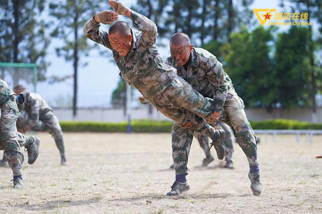 新兵老兵搏斗,一场超越自我与经验的较量,新兵老兵搏斗,超越自我与经验的荣耀对决