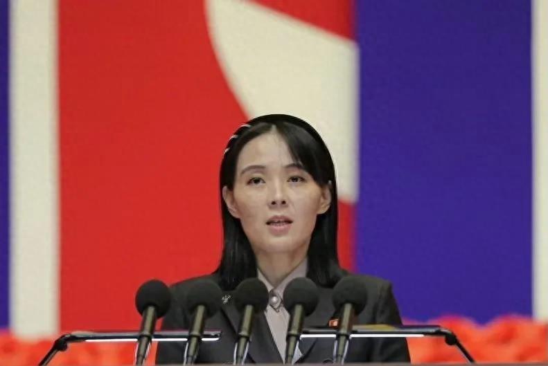 朝鲜版全球鹰无人机,探索与解析,朝鲜版全球鹰无人机,深入探索与解析