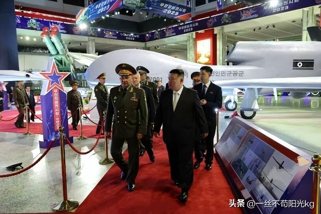 朝鲜版全球鹰无人机,探索与解析,朝鲜版全球鹰无人机,深入探索与解析